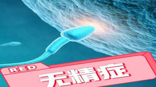 上海助孕官方中介公司,2023年到上海一妇婴做三代试管婴儿的成功率大概是多少
