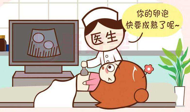 2022上海试管婴儿医院推荐：上海瑞金医院