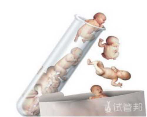 助孕机构就上海十月幸孕,上海试管助孕医院排名前十名有哪些？