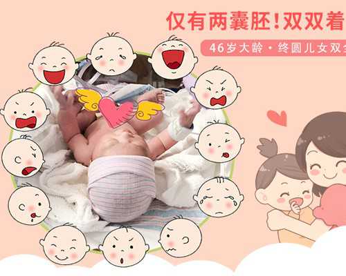上海红房子试管成功率如何？?,上海试管婴儿成功率是多少？