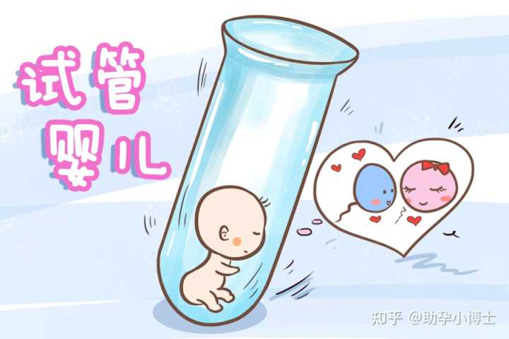 上海供卵试管婴儿单周费用明细一览，2023借卵试管生男孩费用清单-代孕机构靠