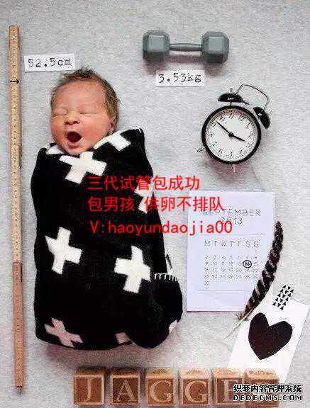 公立医院供卵试管婴儿_上海供卵助孕需求大的原因_试管婴儿费用能否医保报销
