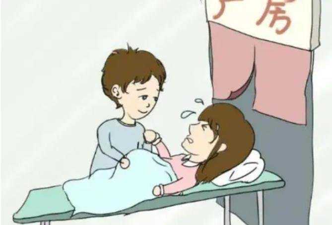 上海借卵途径 上海十大试管医院排名 ‘做b超13周腿中间像山一样是男孩女孩’