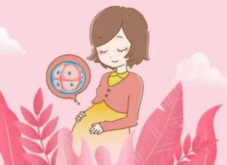 上海怎样找供卵试管女 上海455医院介绍 ‘13周怀孕b超单数据男孩女孩’