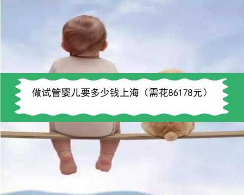 做试管婴儿要多少钱上海（需花86178元）